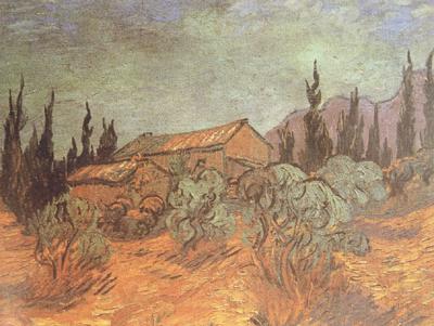 Vincent Van Gogh Wooden Sheds (nn04) Spain oil painting art